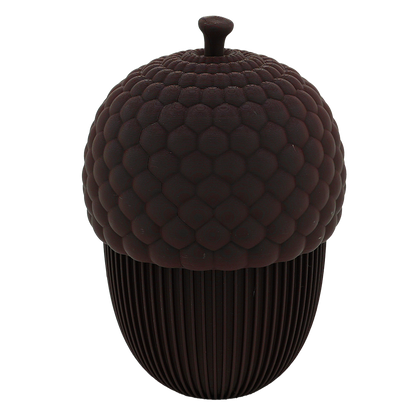 Autumn acorn