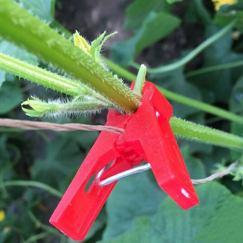 Plantensteun Clips voor Moestuin en Klimplanten
