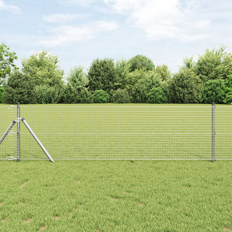Gelaste Draadhek Met 13 Posts 0.4X25 M Gegalvaniseerd Staal Gegalvaniseerd Staal