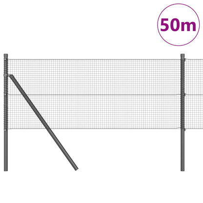 Gelaste Draadhek Met 13 Palen Grijs 0.6X50 M Staal Gegalvaniseerd Staal