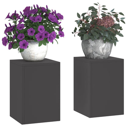 Buitplantenstandaards Pilaar 2 Stuks 24X24X35 Cm Staal Zwart 2x (35 cm)