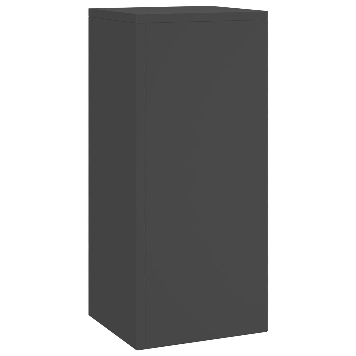 Buiten Plant Stands Pillar 2 Stuks 24X24X55 Cm Staal Zwart 2x (55 cm)