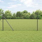 Afrasteringspaal 25x1.2m grijs staal
