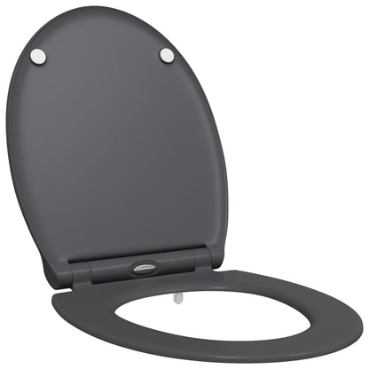 Quick Release Toiletbril Met Soft Close Duroplast Anthraciet