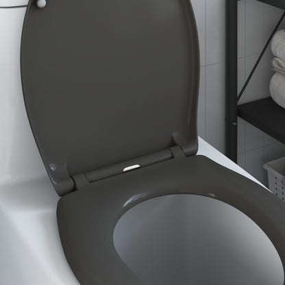 Snelsluittoiletzitting Met Zachte Sluiting Duroplast Anthraciet