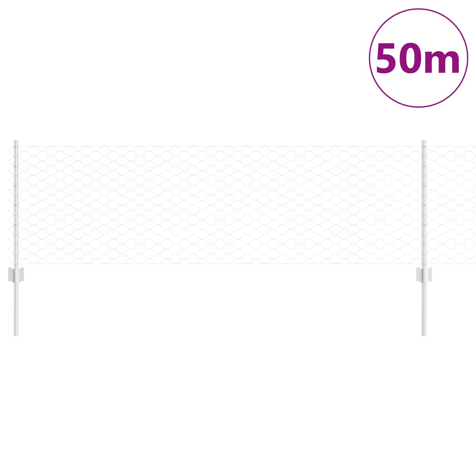 Hekpalen 11 St U-Kanaal 60 Cm Gegalvaniseerd Staal,  Zeshoekig Hek 0,6X50 M Gegalvaniseerd Staal