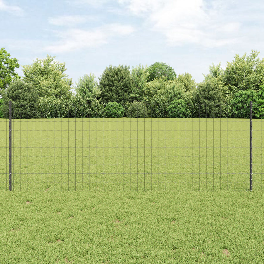 Euro Hekset Set Van 2 Grijs Staal 10 X 0.8 M Duurzaam