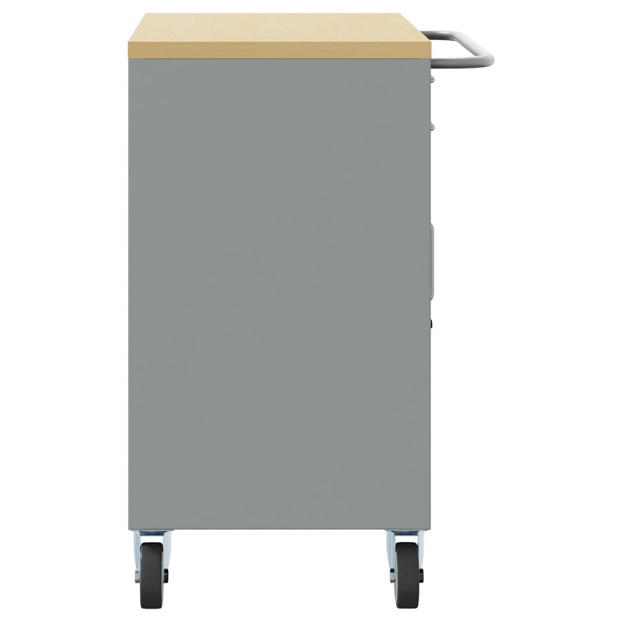 Gereedschapskast Met Wielen En Vergrendelbare Deuren 75X45X85 Cm Staal Zwart en grijs met 2 lades