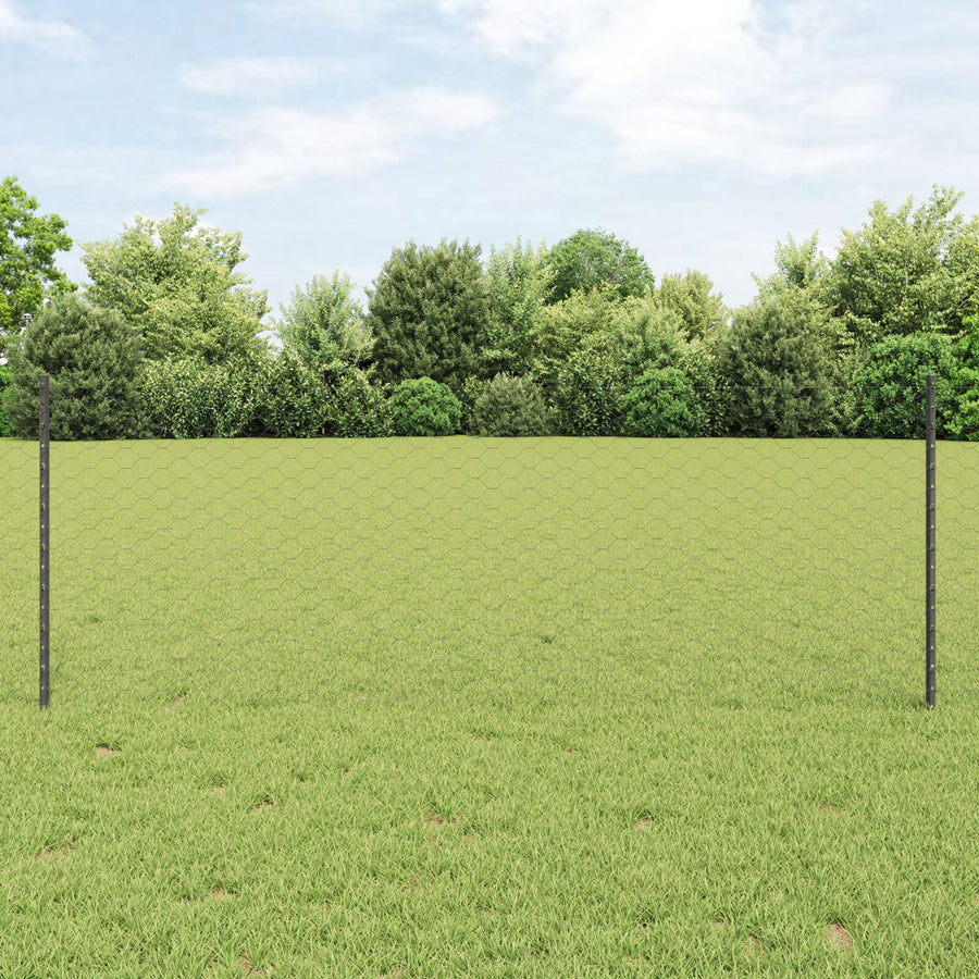 Hekpalen 11 St U-Channel Grijs 80 Cm Staal,  Hexagonaal Hek Grijs 0.8X25 M Staal