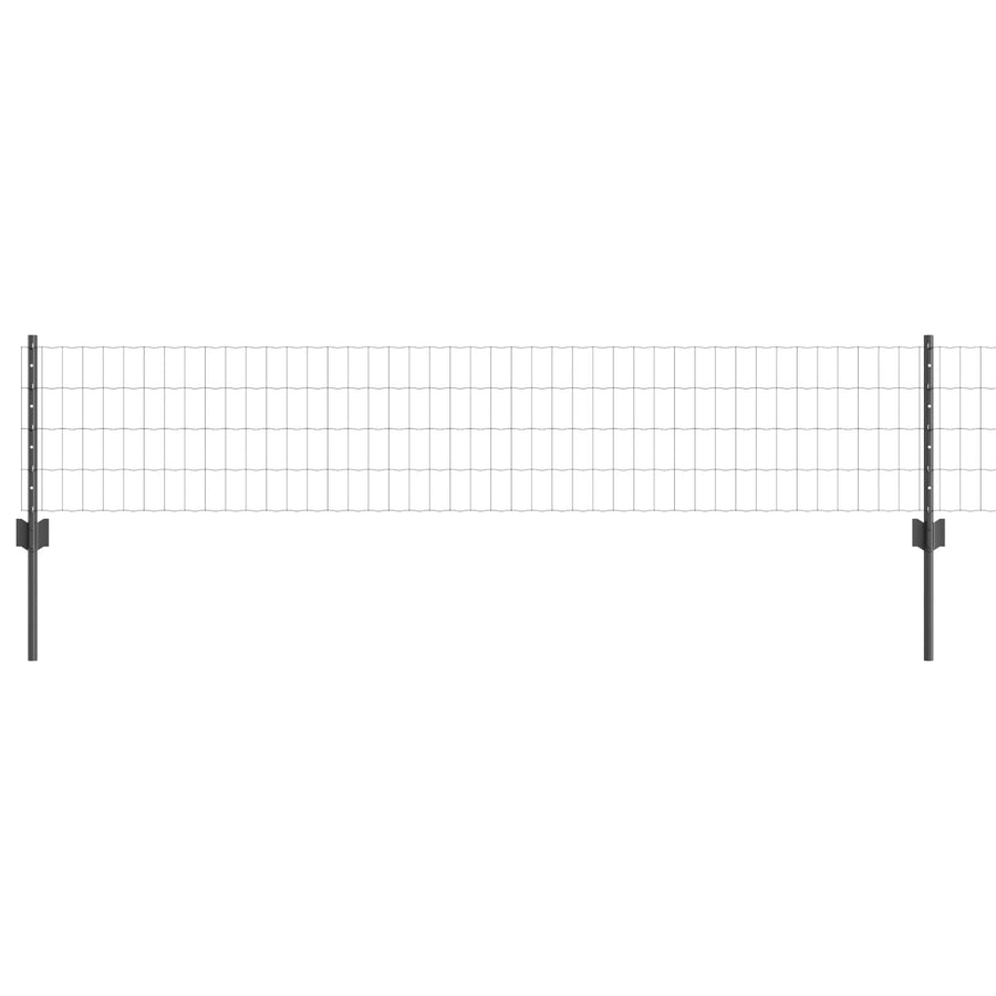 Tuinhekset Set Van 2 Grijs Metaal 10 X 0.4 M Stevig Hek