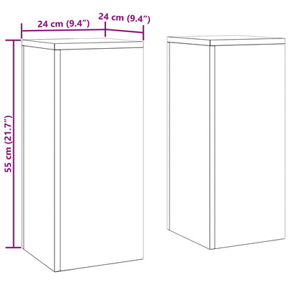 Buiten Plantenstandaarden Pilaar 2 Stuks 24X24X55 Cm Gegalvaniseerd staal 2x (55 cm)