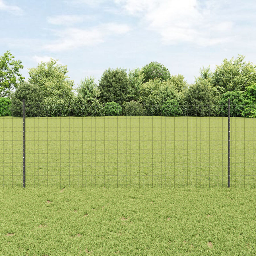 Tuinhek Set 2 Packs Grijs Metaal 10 X 1 M Duurzaam Tuinhek