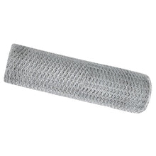 Hexagonaalhek 0.6X25 M Gegalvaniseerd Staal 25 x 0.6 m 13 mm