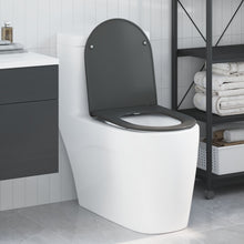 Snelle Toiletbril Met Zachte Sluiting Duroplast Anthraciet