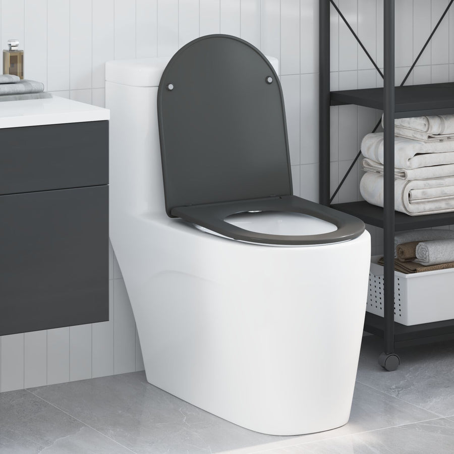 Snelle Toiletbril Met Zachte Sluiting Duroplast Anthraciet