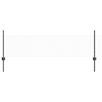 Hexagonaal Tuinhek Set Set Van 2 Grijs Staal 25 X 0.5M Duurzaam