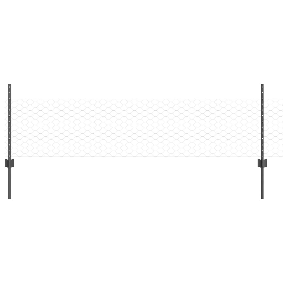 Hexagonaal Tuinhek Set Set Van 2 Grijs Staal 25 X 0.5M Duurzaam