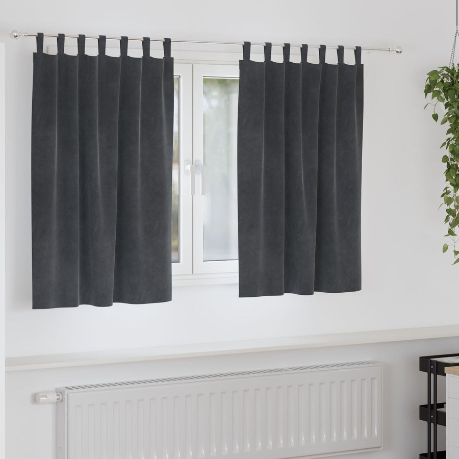 Zwarte Gordijnen Met Hanglussen 2 Stuks Fluweel Lichtgrijs 140 x 140 cm met lussen