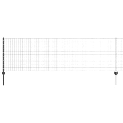 Euro Hek Set Van 2 Grijs Staal 25 X 0.8 M Duurzaam Hek