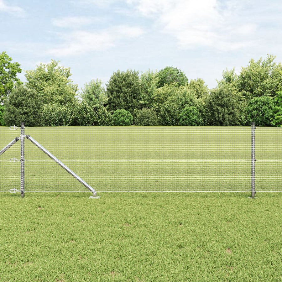 Gegalvaniseerd Draadhek Met 13 Spijker Palen 0.8X100 M Gegalvaniseerd Staal
