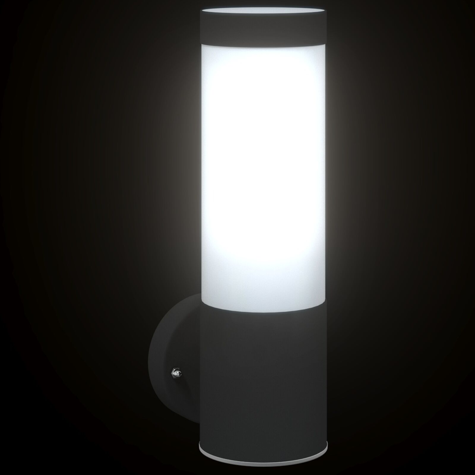 Buiten Wandlamp Rvs Ip44 1 Zwart zonder sensor