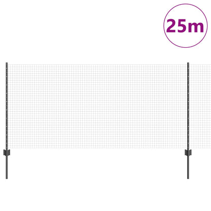 Gelaste Draadhek Set Van 2 Grijs Staal 25 X 1 M Robuust
