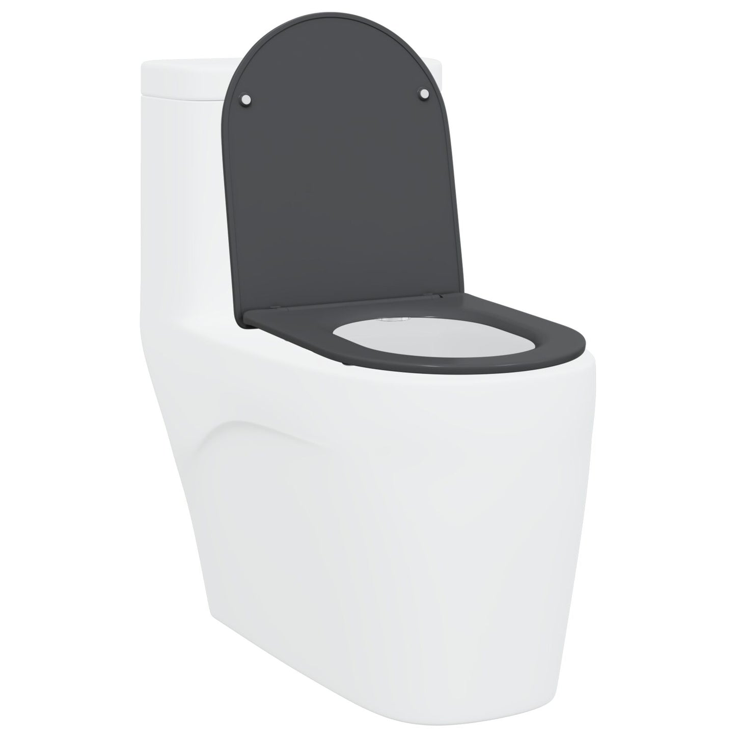 Snelle Toiletbril Met Zachte Sluiting Duroplast Anthraciet