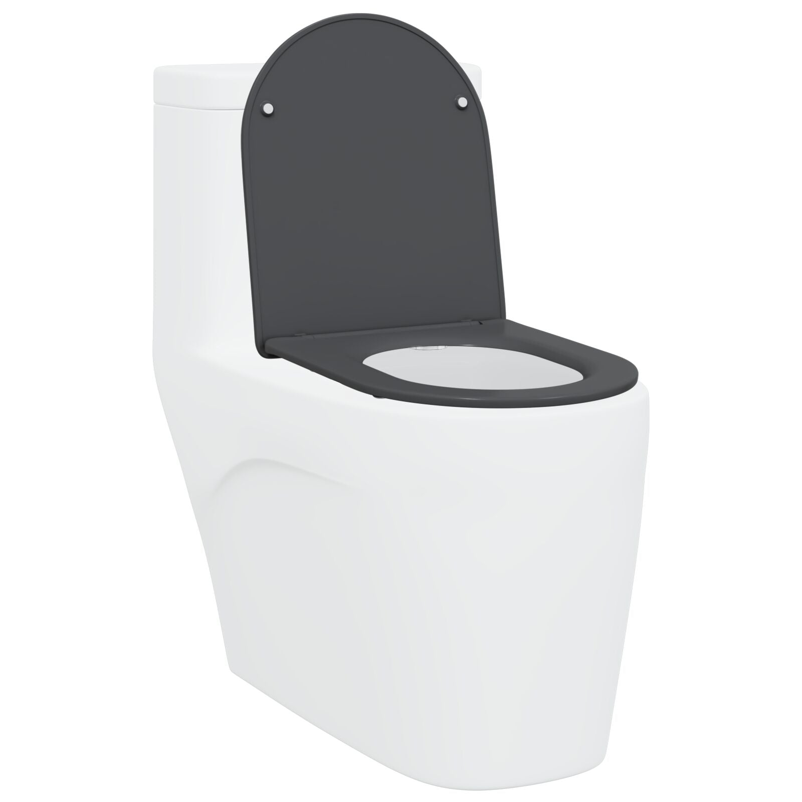 Snelle Toiletbril Met Zachte Sluiting Duroplast Anthraciet