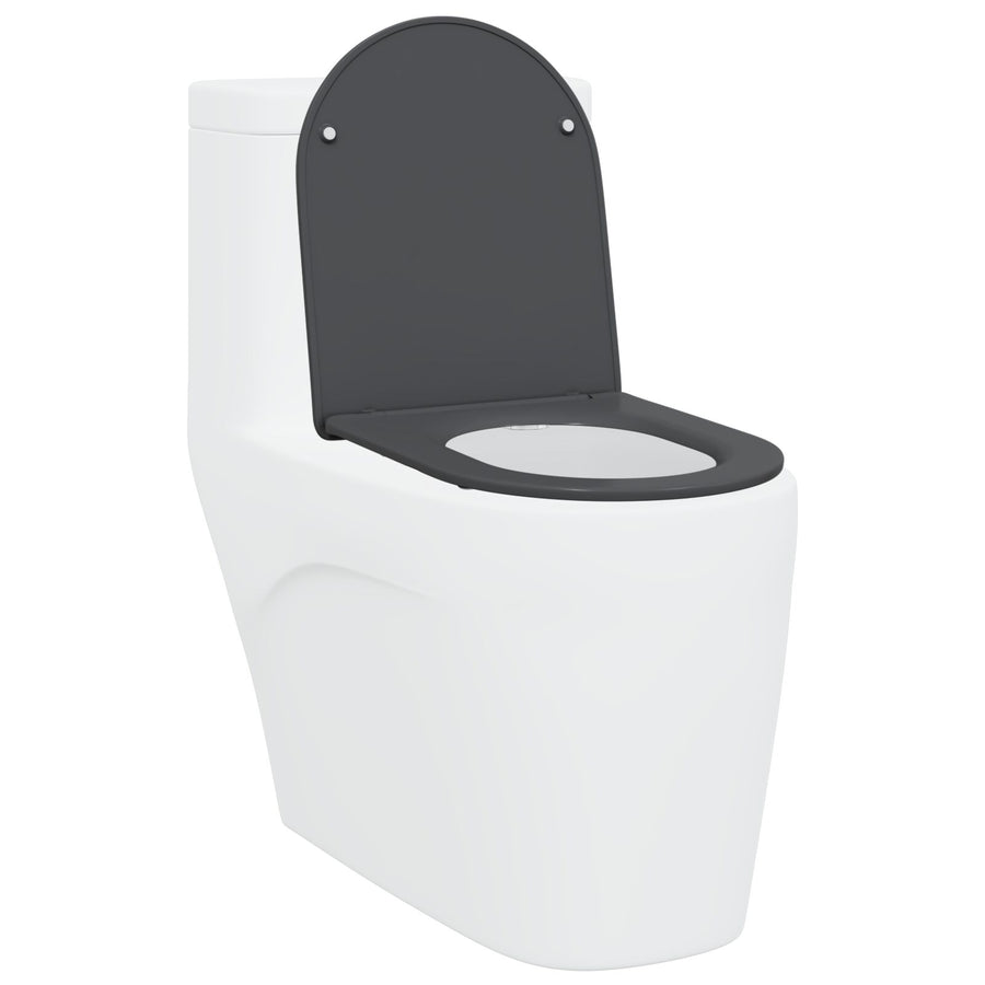 Snelle Toiletbril Met Zachte Sluiting Duroplast Anthraciet