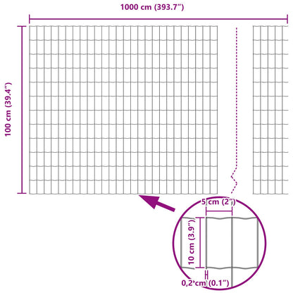 Euro Fence Set Set Van 2 Grijs Plastic-Gecoat Metaal