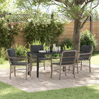 Tuinstoelenset 5-delig lichtgrijs polyrattan