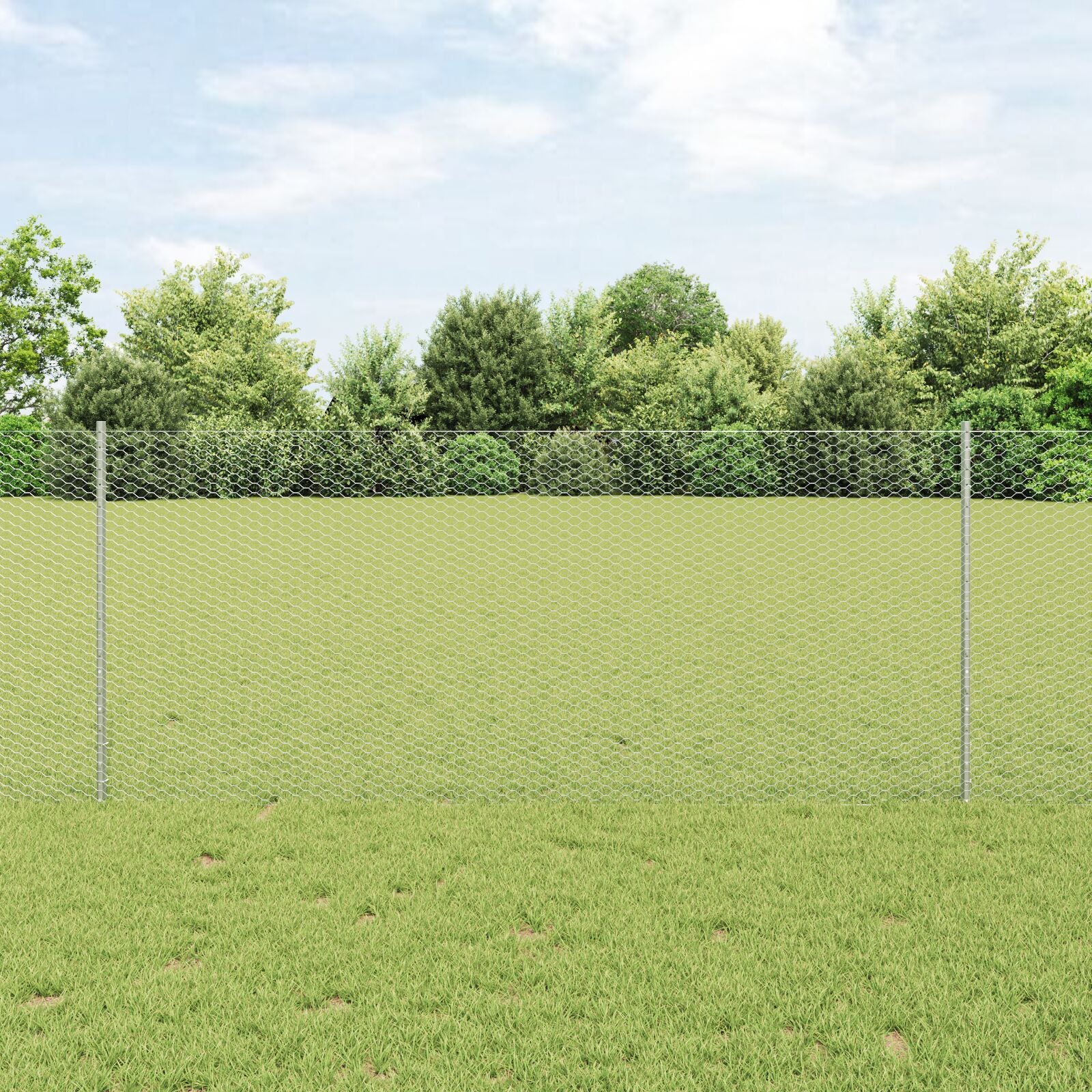 Hekpalen 22 Stuks U-Kanaal 100 Cm Gegalvaniseerd Staal,  Hexagon Hek 1X100 M Gegalvaniseerd Staal