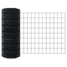 Euro Hekset Set Van 2 Grijs Staal 10 X 0.8 M Duurzaam