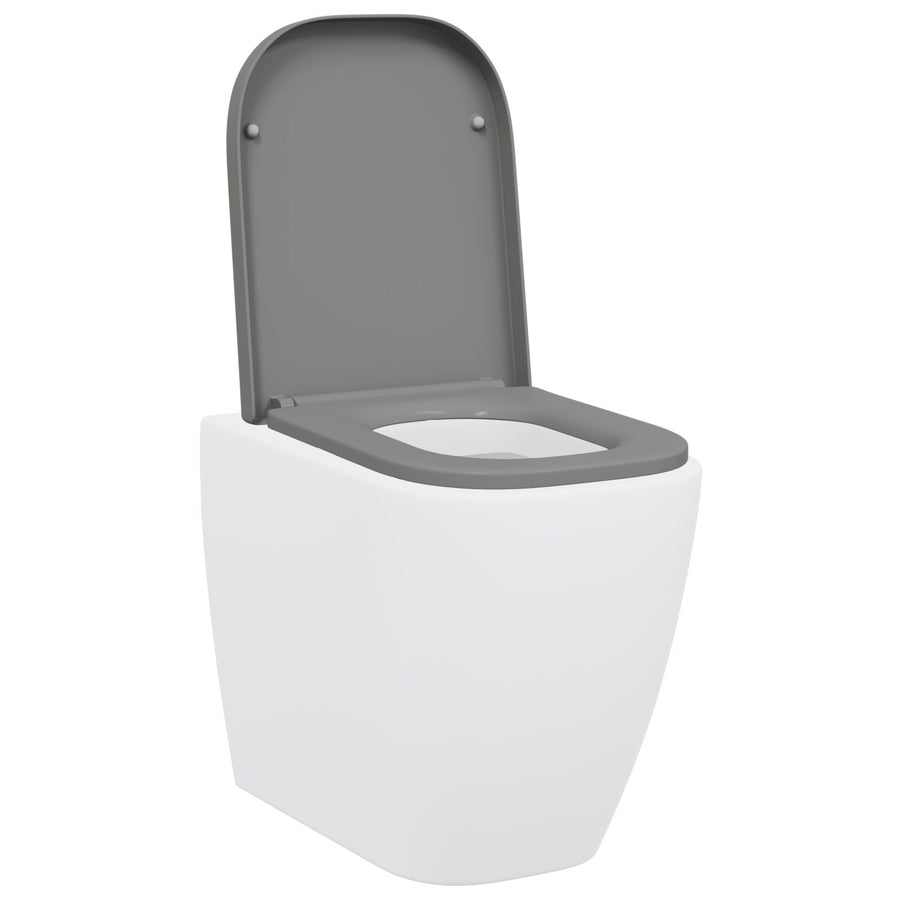 Snelle Toiletbril Met Soft Close Duroplast Grijs