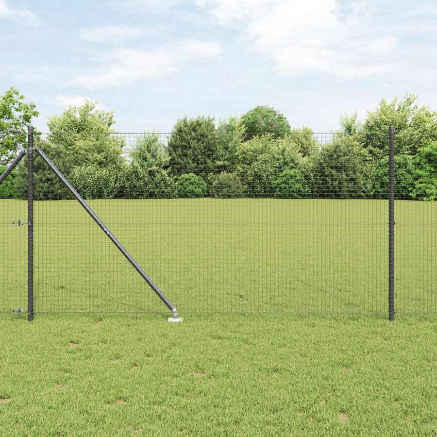 Gelast Draadhek Met 13 Spitspikes Grijs 1.4X25 M Staal Gegalvaniseerd Staal