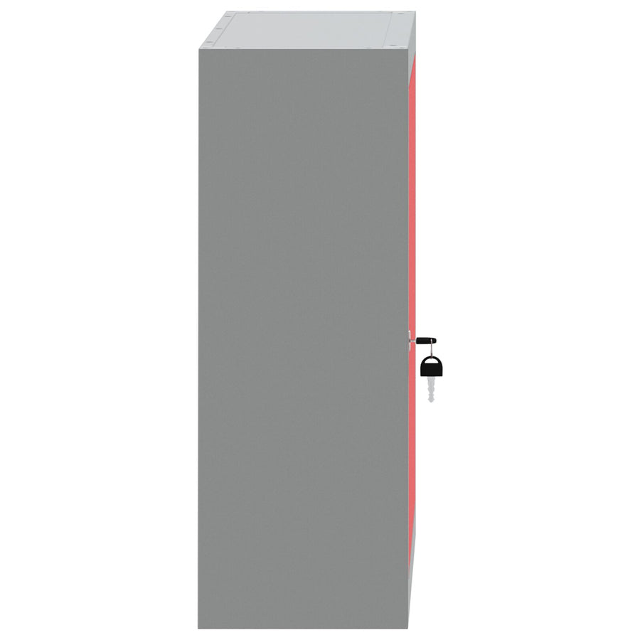 Gereedschapskast Muurbevestigd 50X20X55 Cm Staal 50 cm Rood en grijs Wandkast
