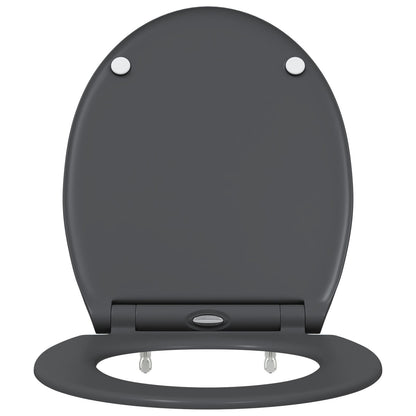 Quick Release Toiletbril Met Soft Close Duroplast Anthraciet