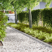 Garden Edging 20 pcs Silver 100 x 0.05 x 20 cm Stainless steel