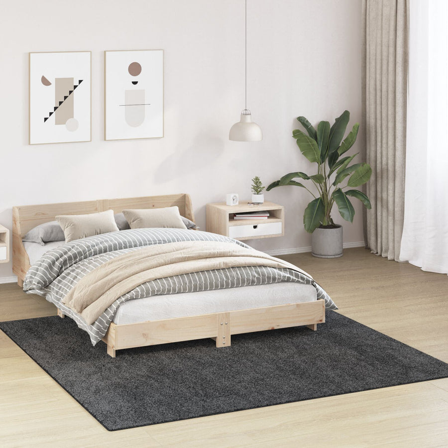 Shaggy Vloerkleed Met Latex Achterkant Donkergrijs 200 x 200 cm