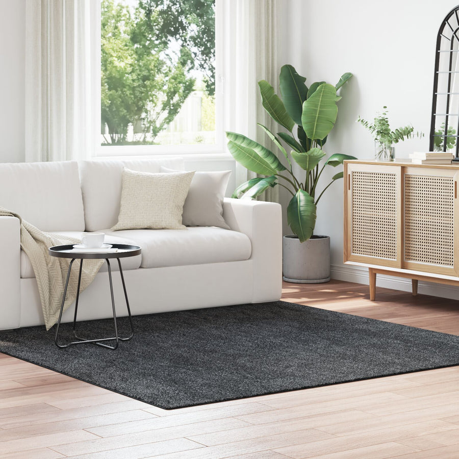 Shaggy Vloerkleed Met Latex Achterkant Donkergrijs 200 x 200 cm