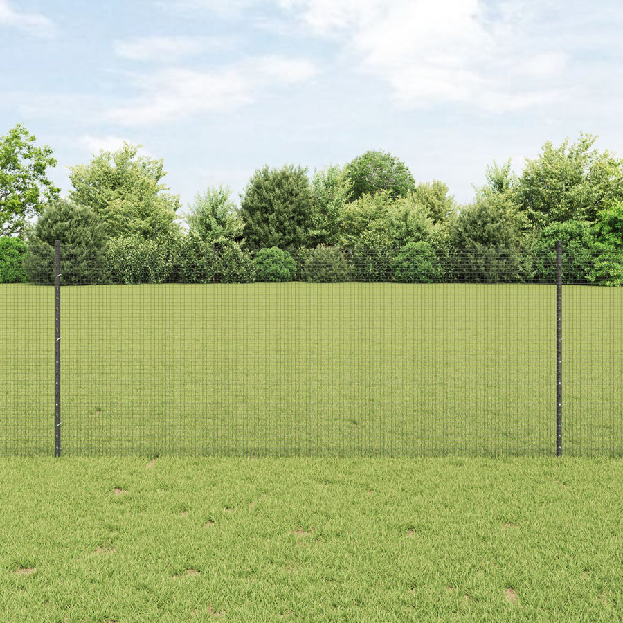 Kipgaasomheining Set Set Van 2 Grijs Metaal 10 X 1 M Duurzaam