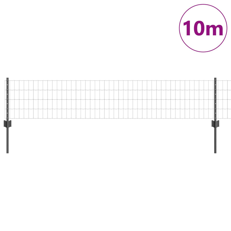 Tuinhekset Set Van 2 Grijs Metaal 10 X 0.4 M Stevig Hek