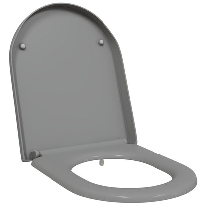 Snelle Verwijderings Toiletzitting Met Zachte Sluiting Duroplast Grijs