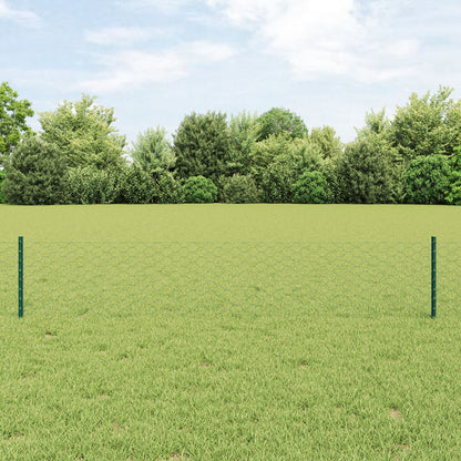 Hekpalen 5 St U-Channel Groen 40 Cm Staal,  Hexagon Hek Groen 0,4X10 M Staal