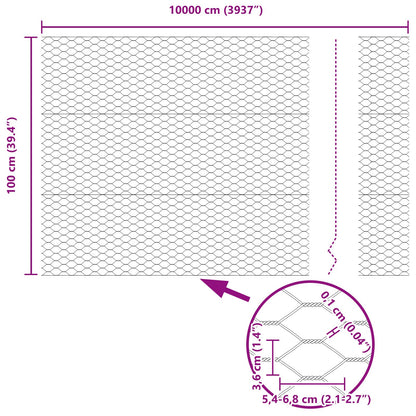 Hexagon Fence 1X100 M Staal Grijs 100 x 1 m 36 mm