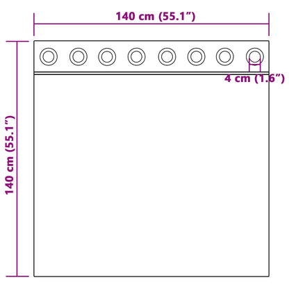 Blackout Gordijnen 2 Stuks Velours Super Lichtgrijs 140 x 140 cm met oogjes