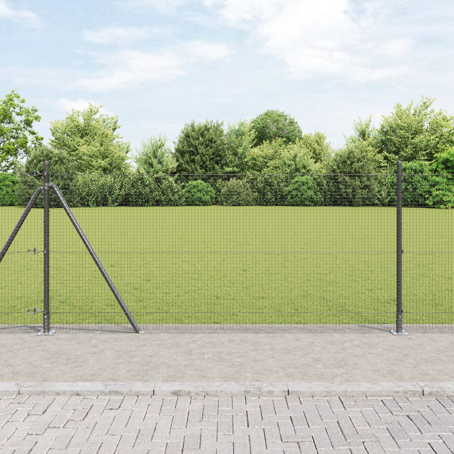 Gelaste Draadhek Met 13 Flanged Posten Grijs 0.8X50 M Staal Gegalvaniseerd Staal
