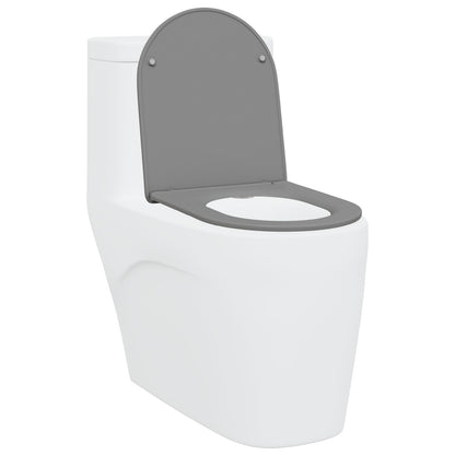 Snelsluittoiletzitting Met Zachte Sluiting Duroplast Grijs