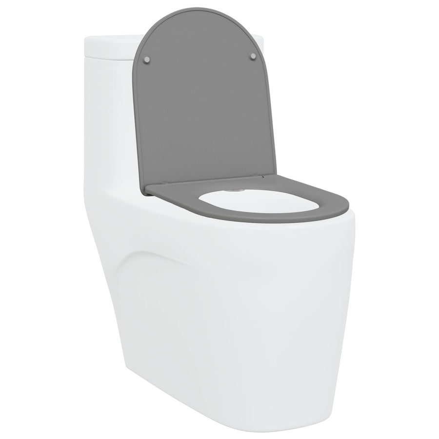 Snelsluittoiletzitting Met Zachte Sluiting Duroplast Grijs