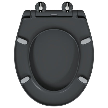 Snelsluittoiletzitting Met Zachte Sluiting Duroplast Anthraciet